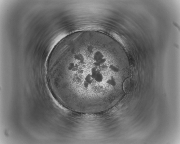 X0000096481087200802071914