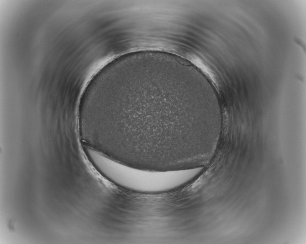 X0000096481088200802071914