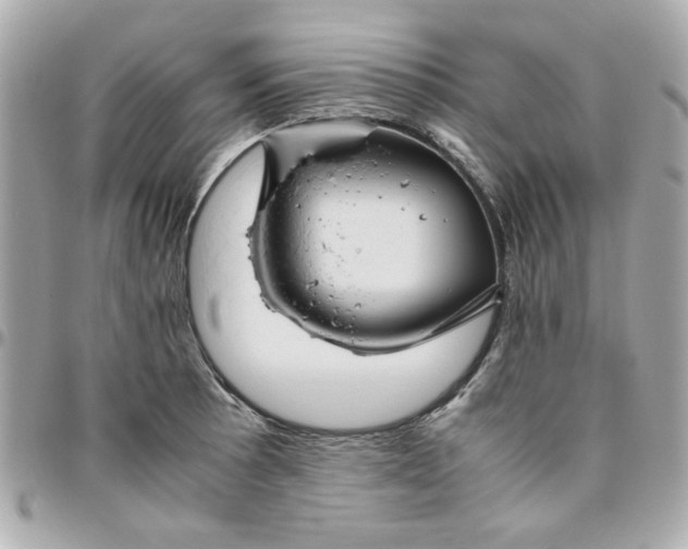 X0000096481089200802071914