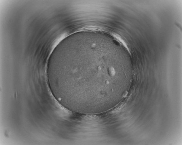 X0000096481091200802071914