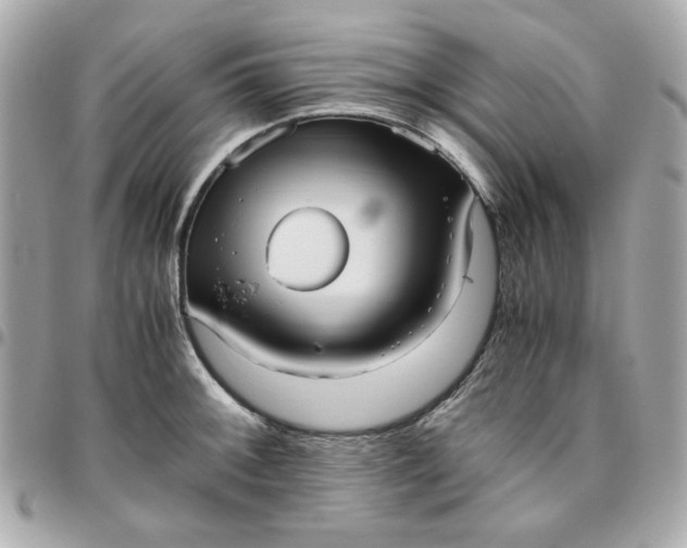 X0000096481092200802071914