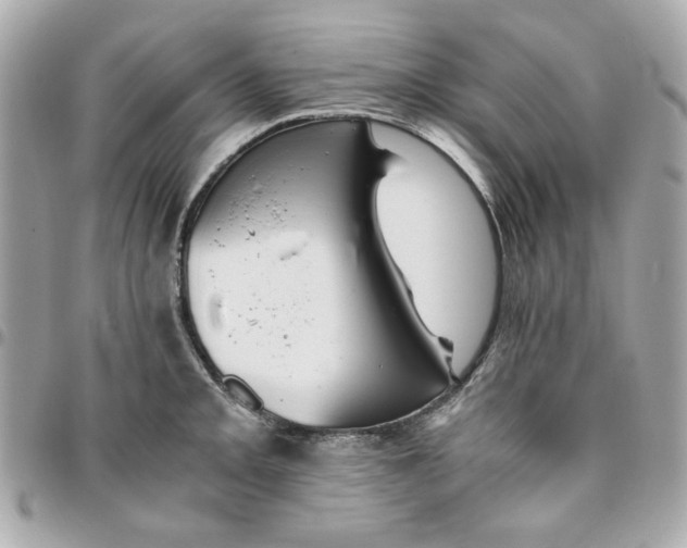 X0000096481093200802071914