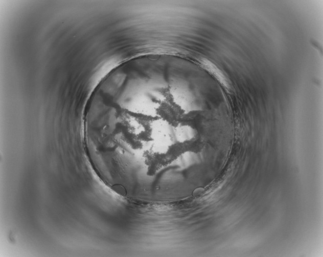 X0000096481095200802071914