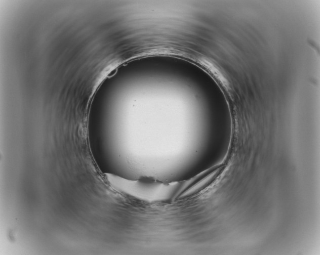 X0000096481097200802071914