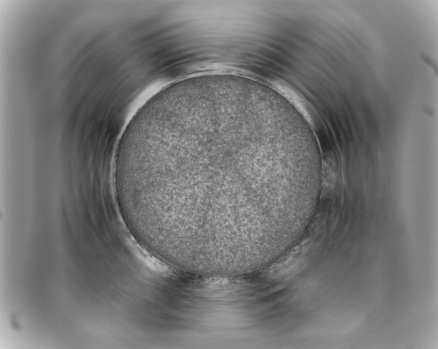 X0000096481098200802071914