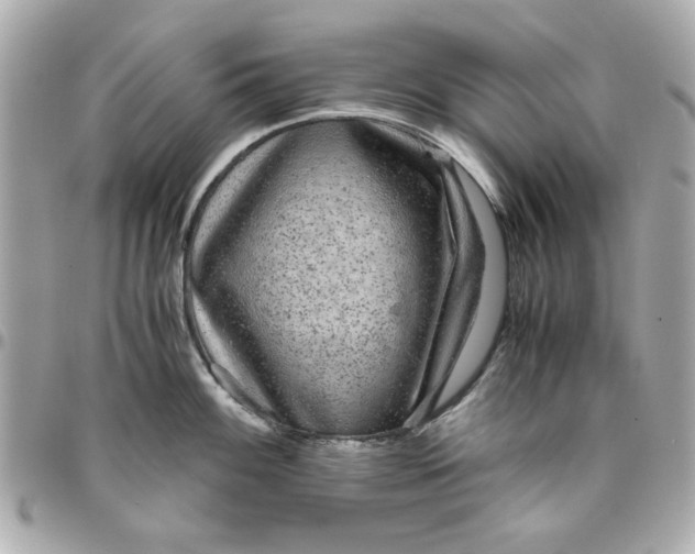 X0000096481100200802071914