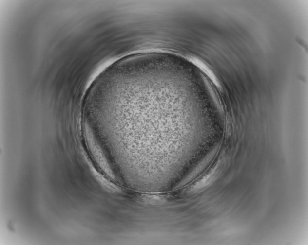 X0000096481101200802071914