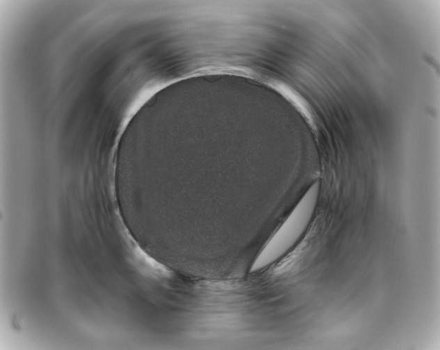 X0000096481102200802071914