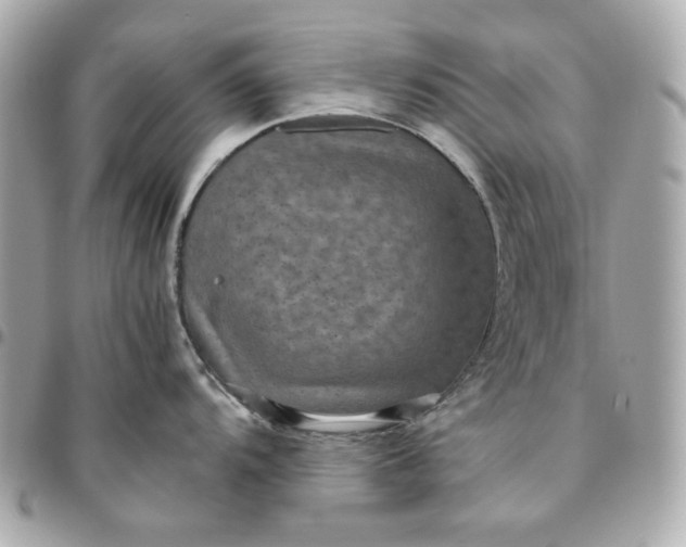 X0000096481104200802071914