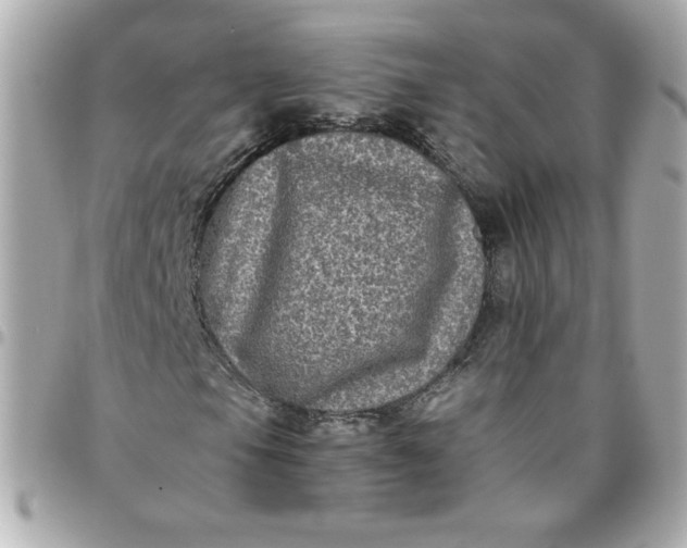 X0000096481105200802071913