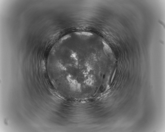 X0000096481106200802071913