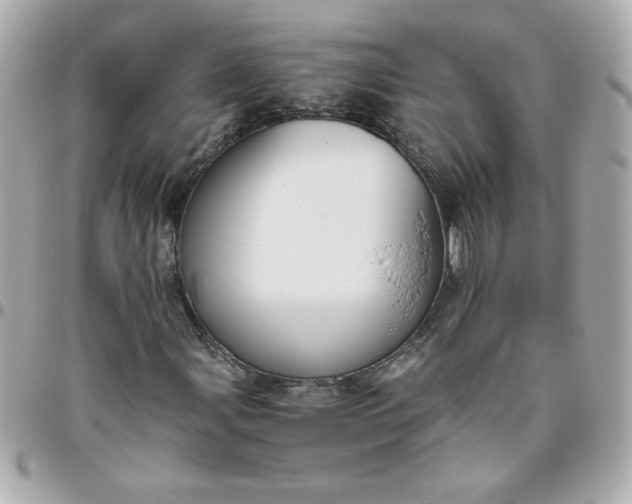 X0000096481107200802071913