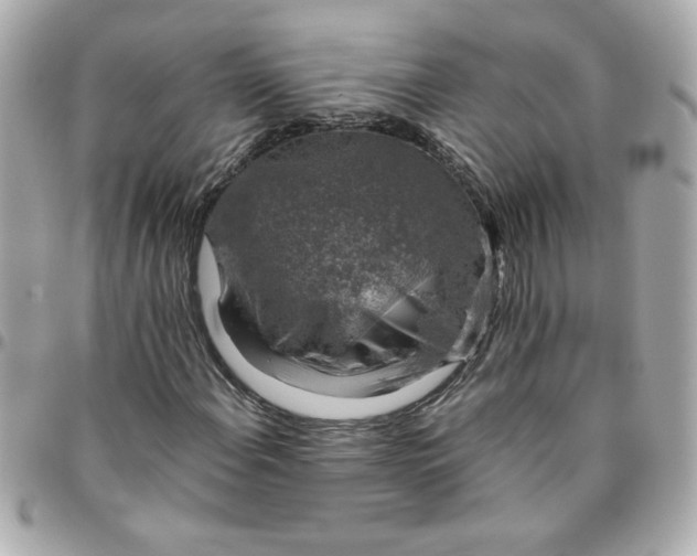 X0000096481108200802071913