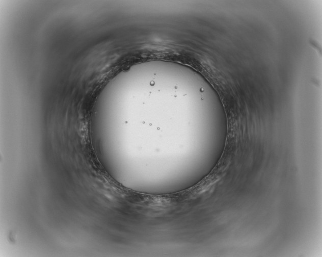 X0000096481109200802071913