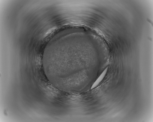 X0000096481110200802071913