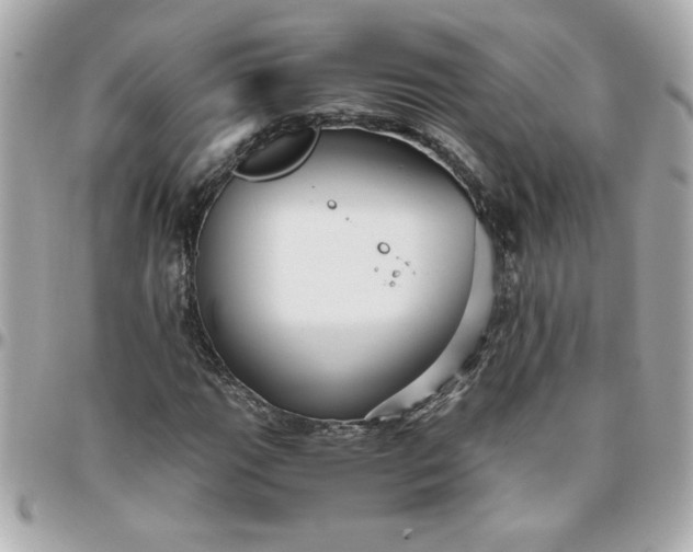 X0000096481111200802071913