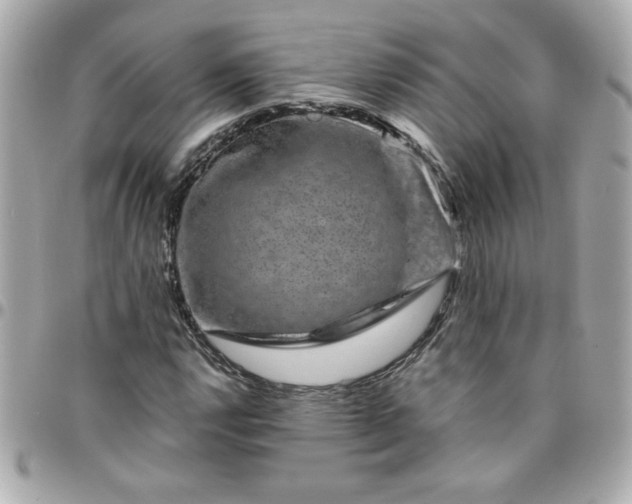 X0000096481112200802071913