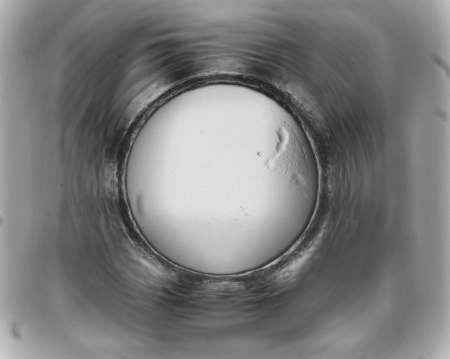 X0000096481113200802071913