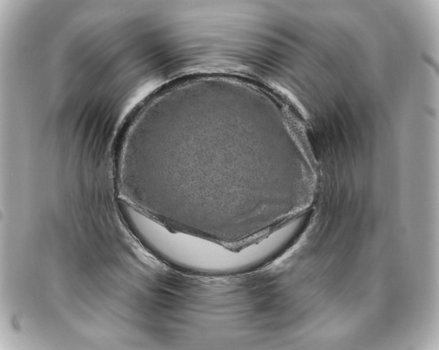 X0000096481114200802071913