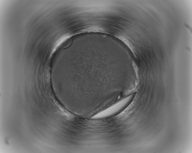 X0000096481115200802071913