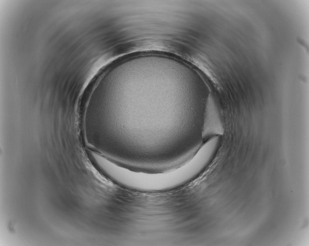 X0000096481116200802071913