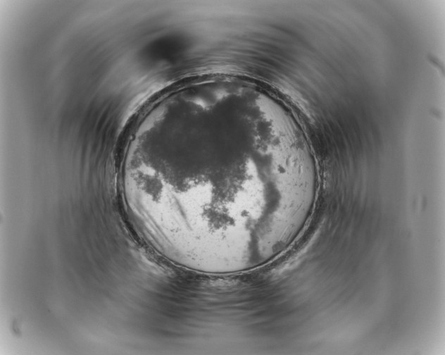 X0000096481117200802071913