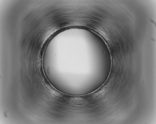 X0000096481119200802071913