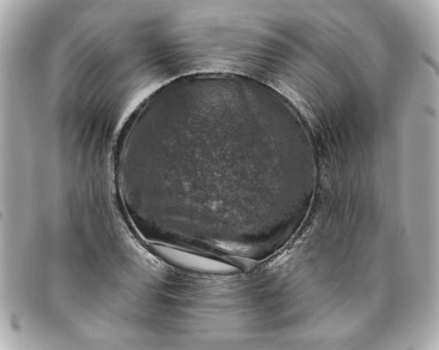 X0000096481120200802071913