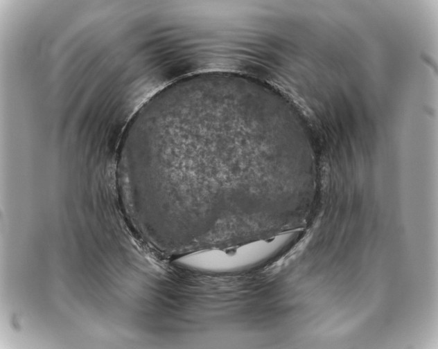 X0000096481121200802071913