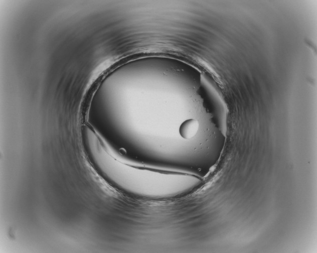 X0000096481122200802071913