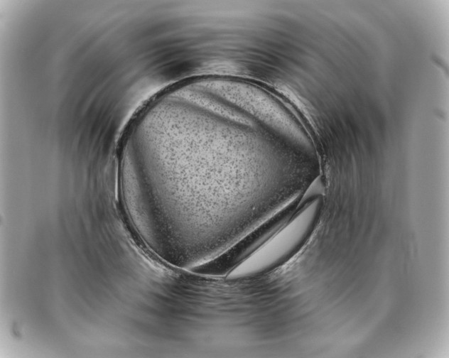 X0000096481123200802071913