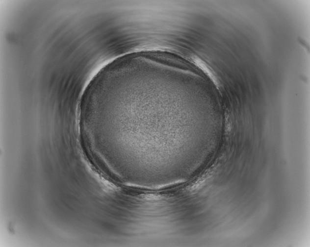 X0000096481124200802071913