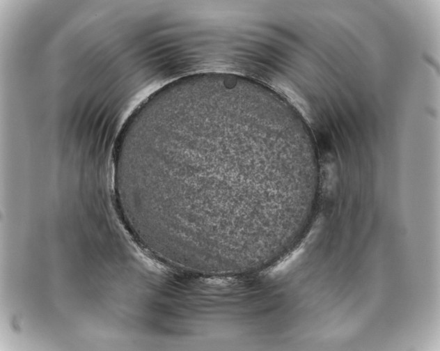 X0000096481125200802071913