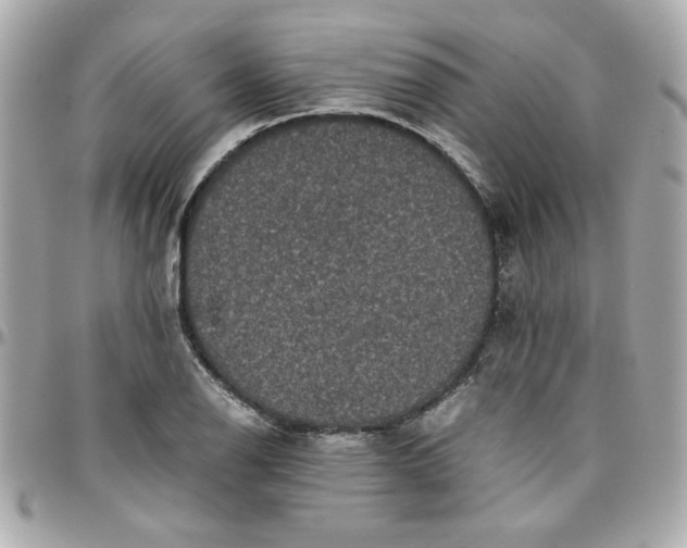 X0000096481126200802071913