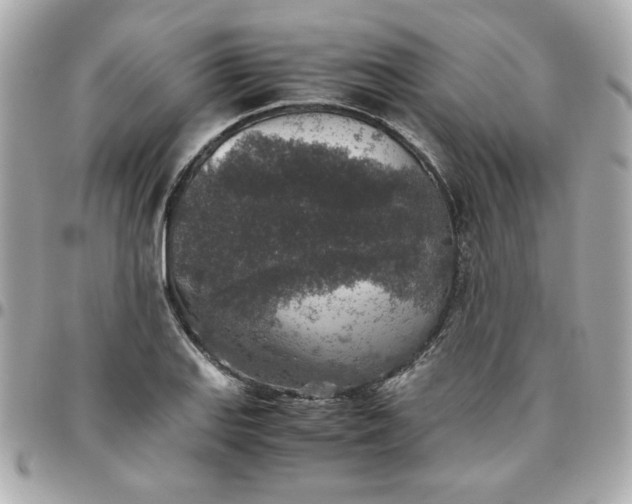 X0000096481127200802071913