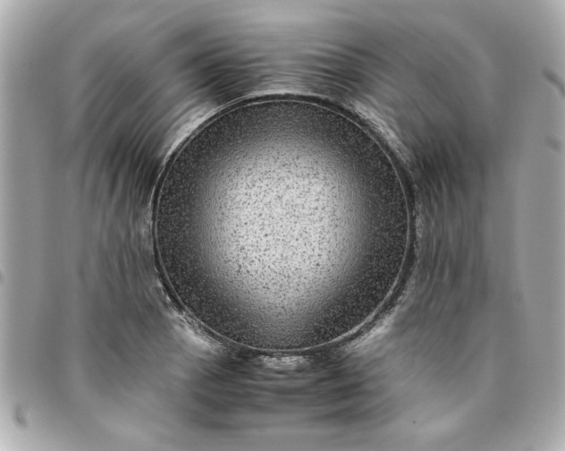 X0000096481129200802071913