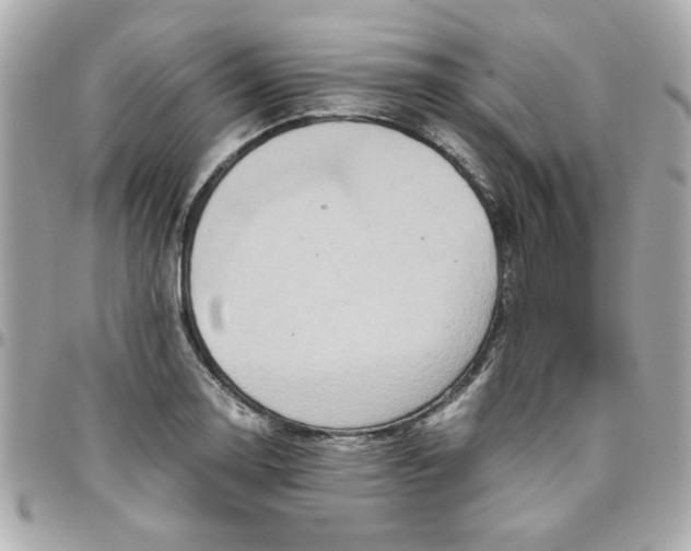 X0000096481130200802071913