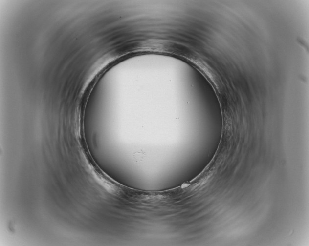 X0000096481131200802071913