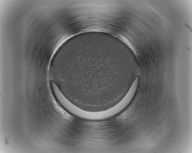 X0000096481132200802071913