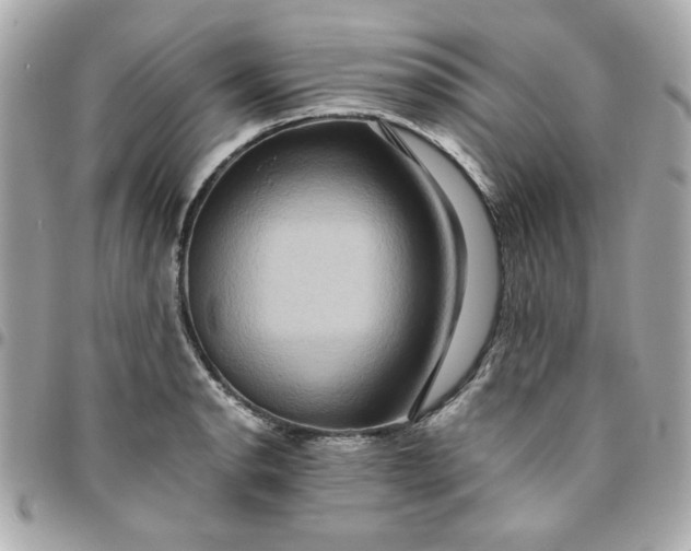 X0000096481134200802071913