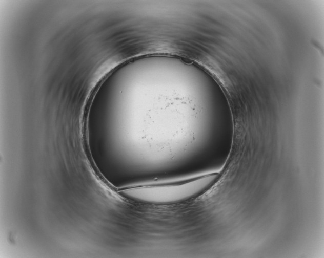 X0000096481135200802071913