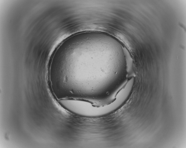 X0000096481136200802071913