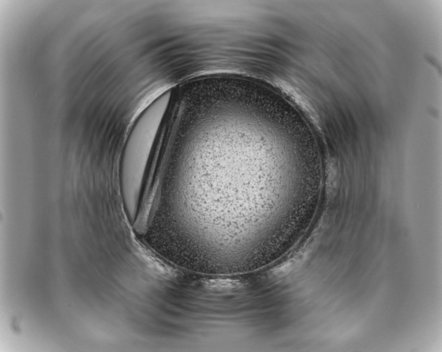 X0000096481137200802071913