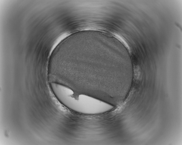 X0000096481138200802071913