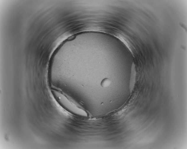 X0000096481139200802071914