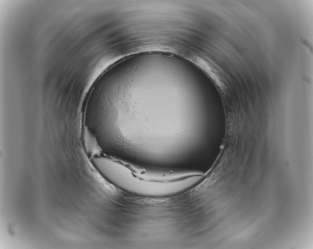 X0000096481140200802071914