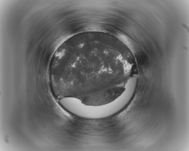 X0000096481141200802071914