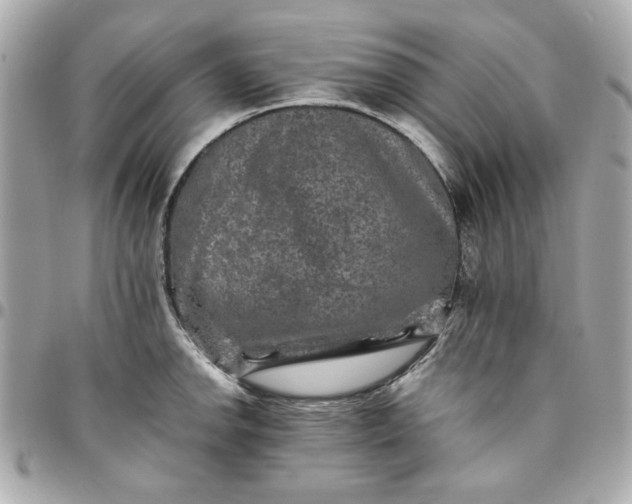 X0000096481142200802071914