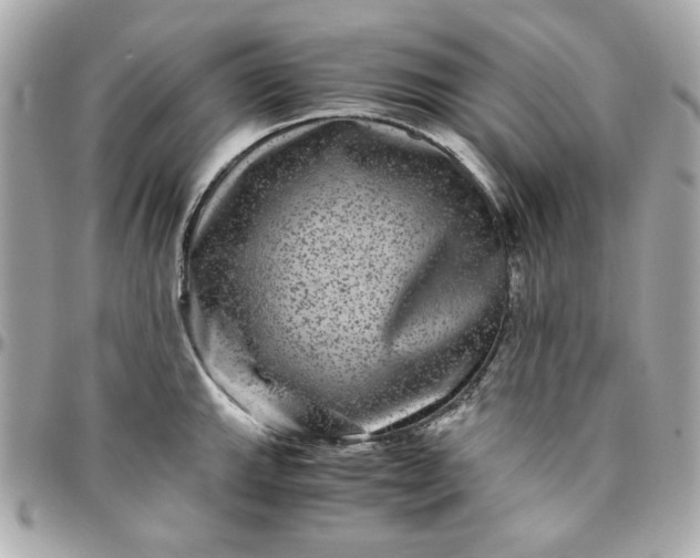 X0000096481143200802071914