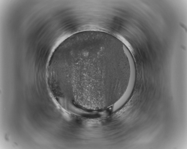 X0000096481144200802071914